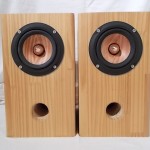 PARC Audio DCU-F121W + enclosure (pair)