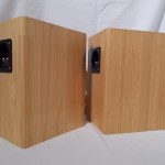 PARC Audio DCU-F121W + enclosure (pair)